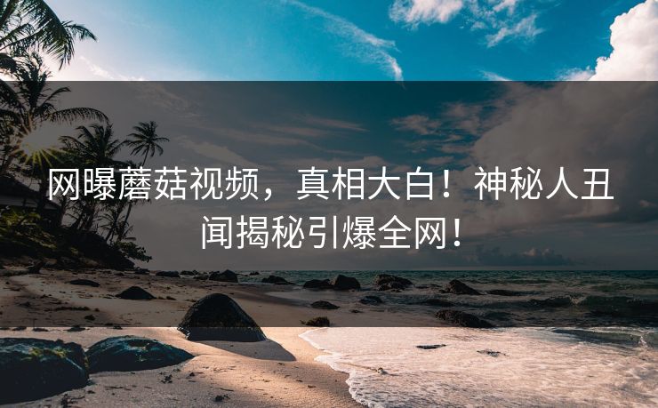 网曝蘑菇视频，真相大白！神秘人丑闻揭秘引爆全网！
