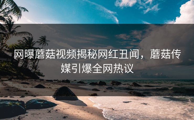 网曝蘑菇视频揭秘网红丑闻，蘑菇传媒引爆全网热议