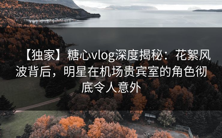 【独家】糖心vlog深度揭秘：花絮风波背后，明星在机场贵宾室的角色彻底令人意外