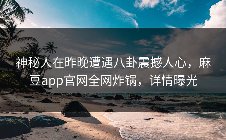 神秘人在昨晚遭遇八卦震撼人心，麻豆app官网全网炸锅，详情曝光