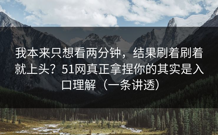 我本来只想看两分钟，结果刷着刷着就上头？51网真正拿捏你的其实是入口理解（一条讲透）